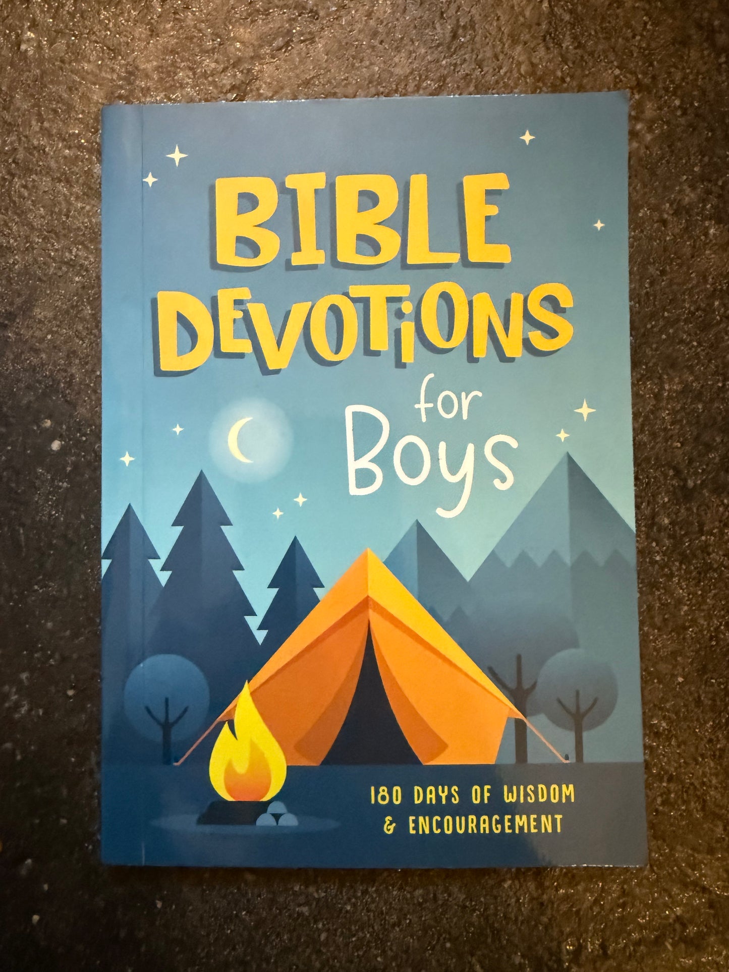 Bible Devotions for Boys