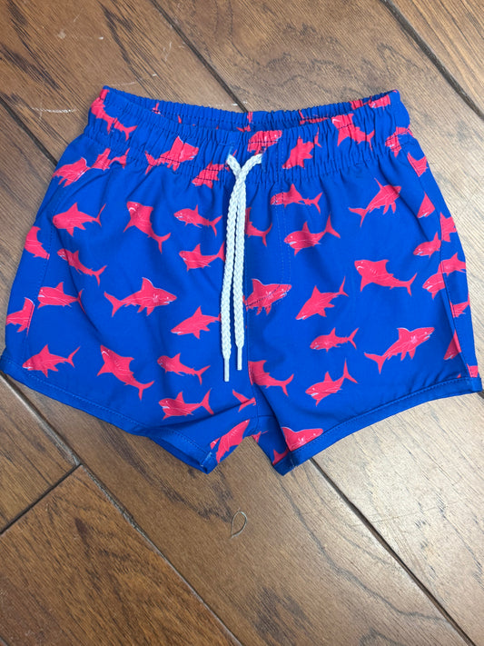Shark Attack Boy Swim